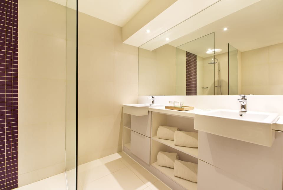 Deluxe Room | Bathroom | Shower, rainfall showerhead, free toiletries, hair dryer