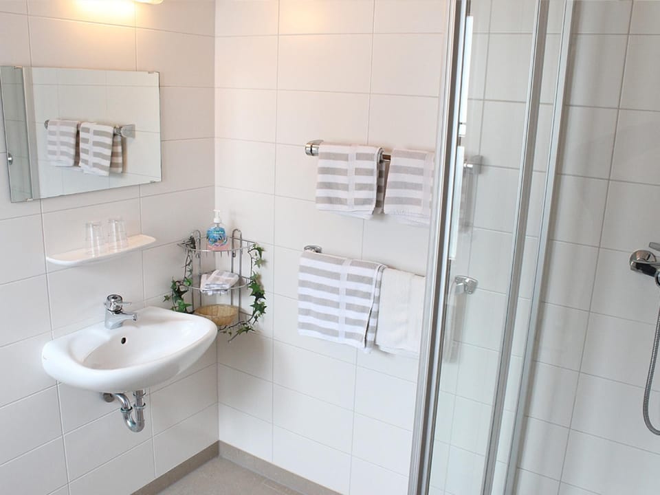 Double Room | Bathroom | Shower, hair dryer, towels, toilet paper