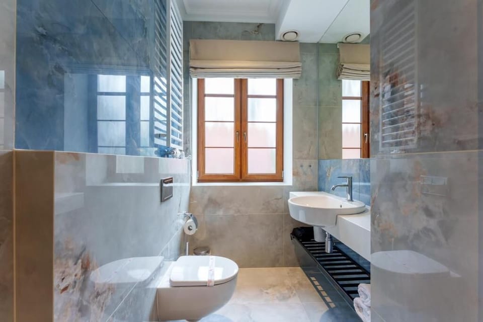 Deluxe Double or Twin Room | Bathroom | Shower, hair dryer, towels, soap