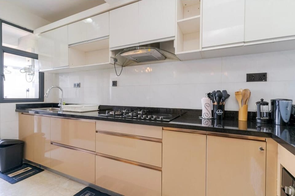 Classic Apartment, Balcony, City View | Private kitchen | Coffee/tea maker, full-size fridge, microwave, oven