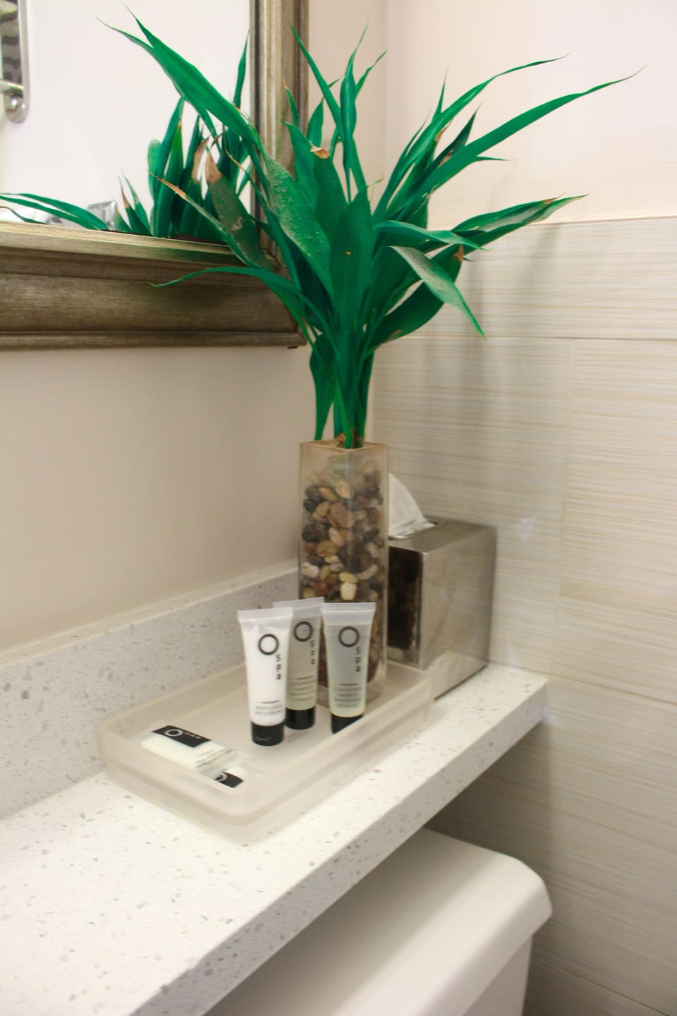 Combined shower/tub, free toiletries, hair dryer, towels