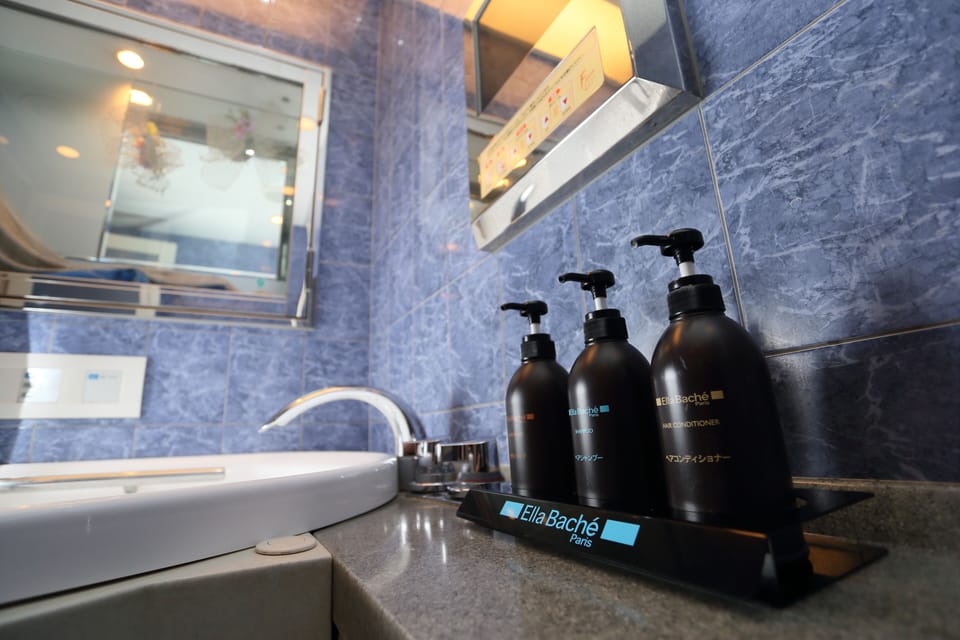 Combined shower/tub, deep soaking tub, hair dryer, electronic bidet