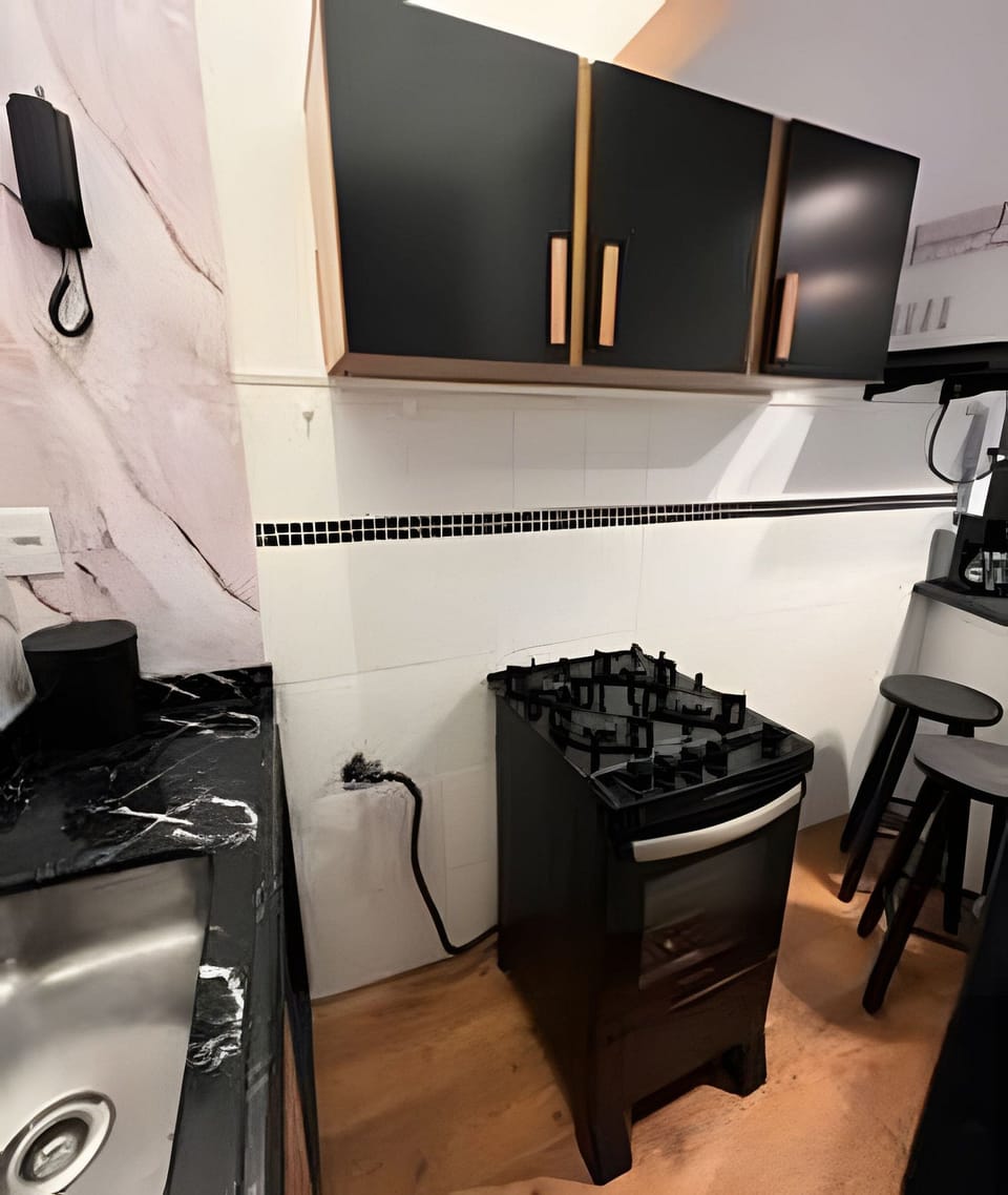Deluxe Apartment | Private kitchen | Full-size fridge, microwave, oven, stovetop
