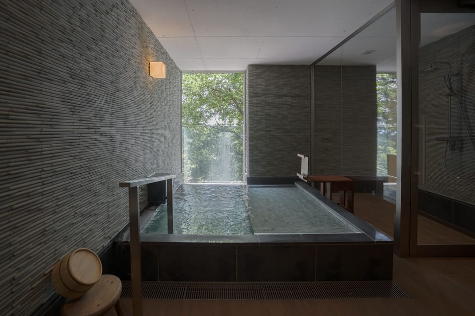 Combined shower/tub, spring water tub, designer toiletries, hair dryer