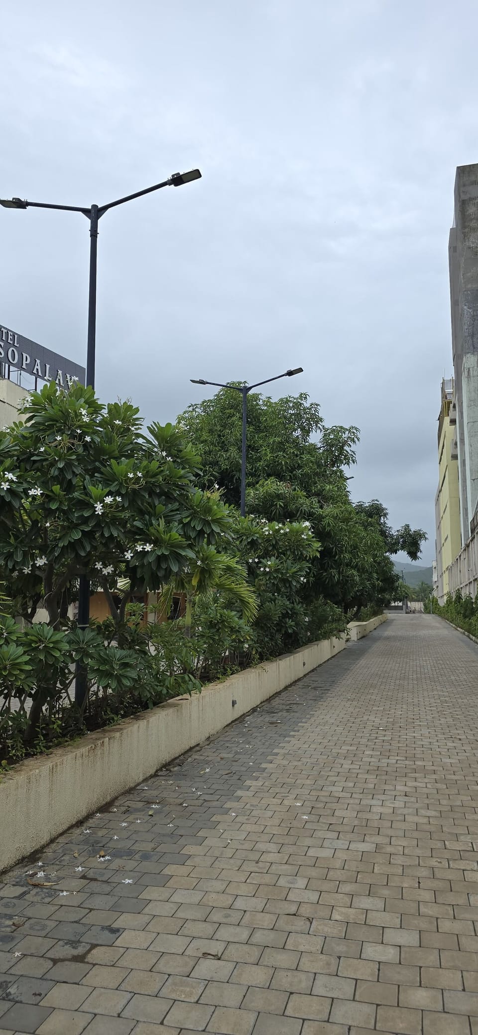 Miscellaneous