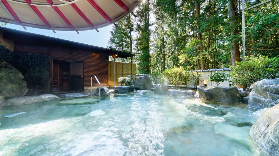 Ooedo Onsen Monogatari Gero Bekkan Hotel in Japan