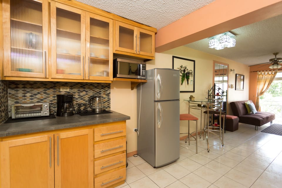 Apartment, City View, Executive Level | Private kitchen | Full-size fridge, microwave, oven, stovetop