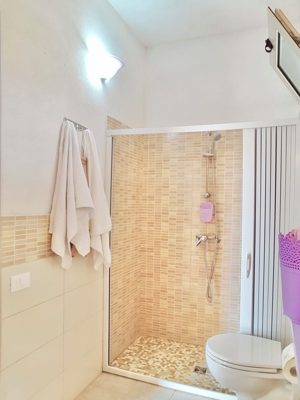 Shower, hair dryer, bidet, towels