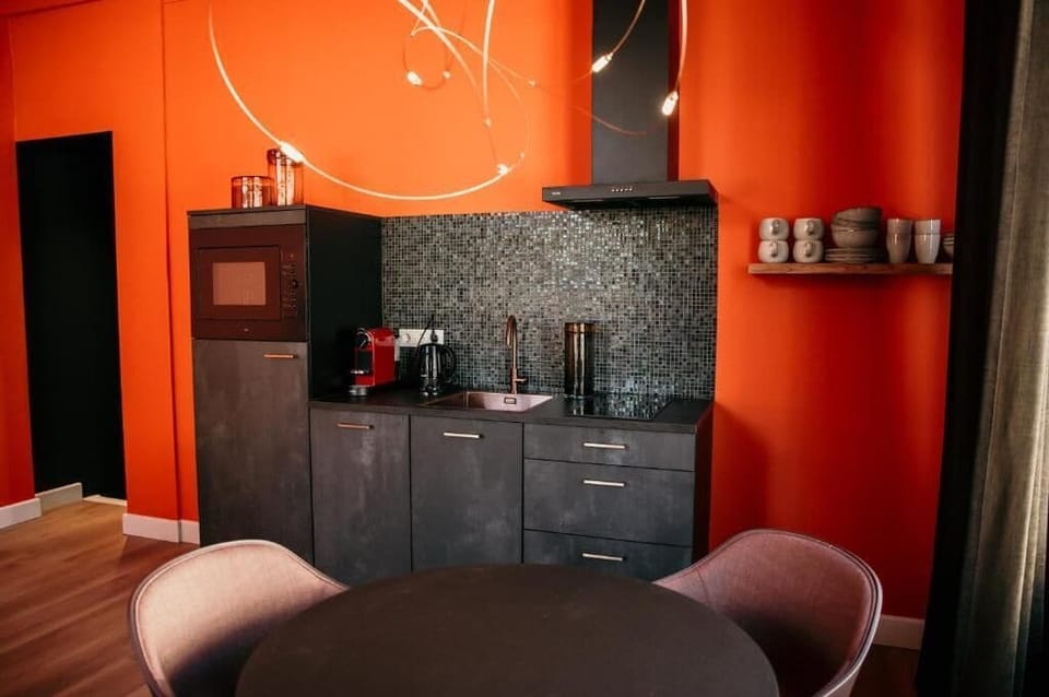 Deluxe Apartment, 1 King Bed, City View | Private kitchen
