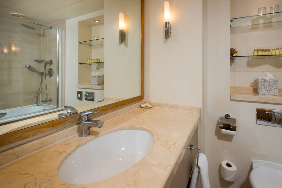 Combined shower/tub, free toiletries, hair dryer, towels