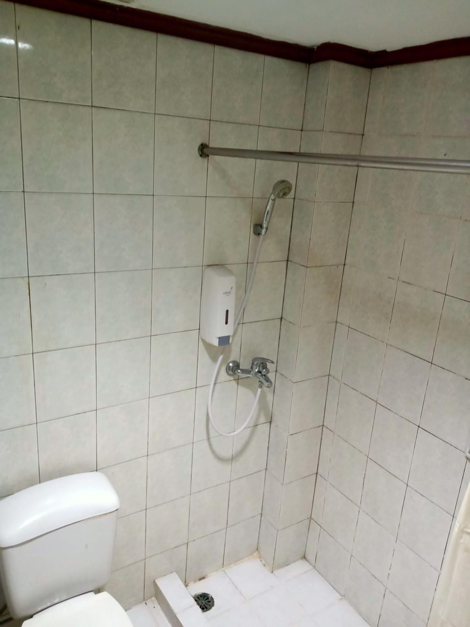 Standard Double or Twin Room | Bathroom | Free toiletries, bidet, towels, soap