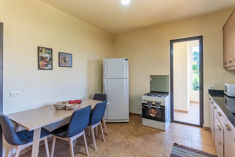 Apartment, 3 Bedrooms, Kitchen, City View | Private kitchen | Espresso maker, coffee/tea maker, full-size fridge, microwave