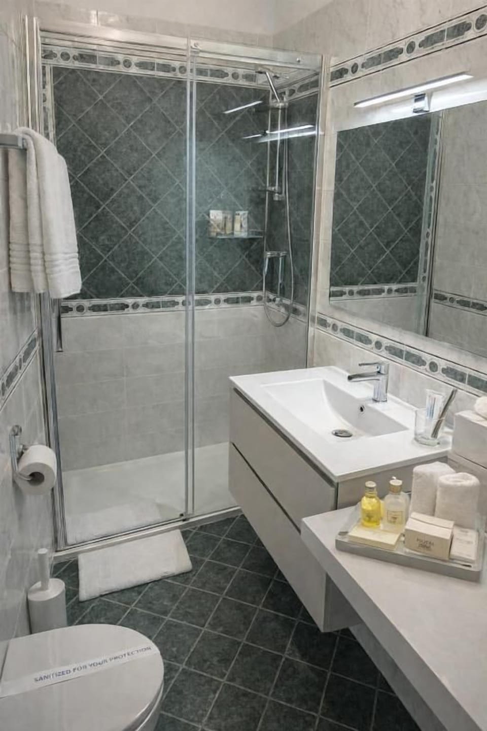Shower, free toiletries, hair dryer, bidet