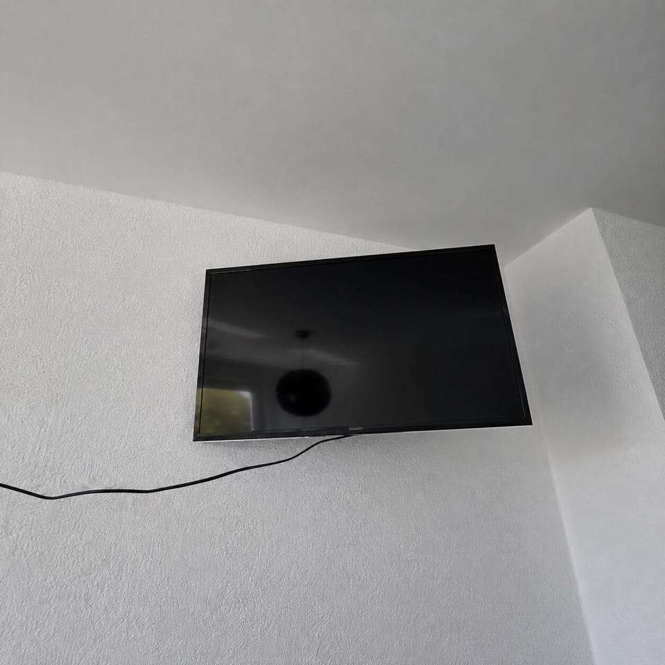 Television