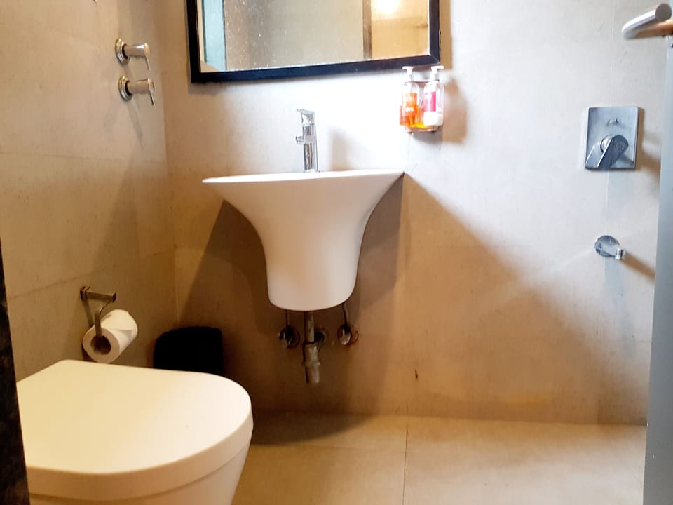 Deluxe Room | Bathroom | Shower, free toiletries, towels