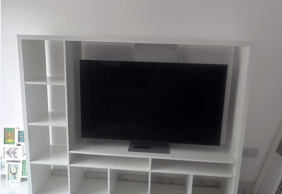 Television