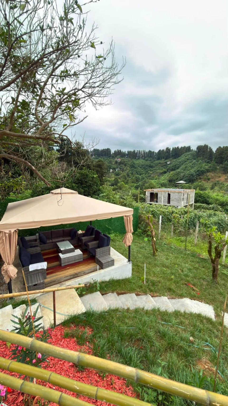 Comfort Cottage, Garden View | Terrace/patio