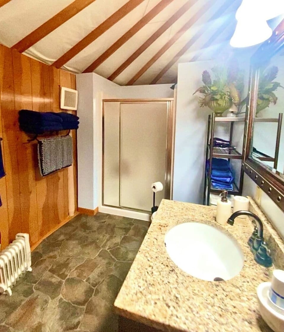 Basic Studio | Bathroom | Shower, towels, toilet paper