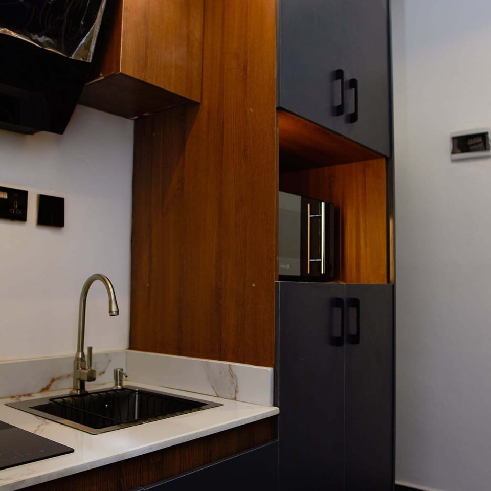 Deluxe Apartment, Balcony, City View | Private kitchen | Fridge, microwave, oven, stovetop