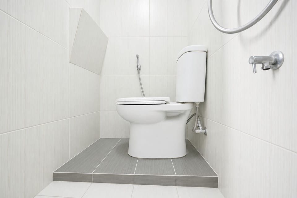 Deluxe Double Room | Bathroom | Shower, free toiletries, towels