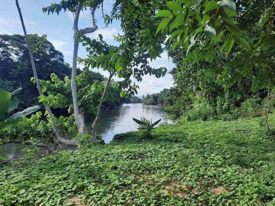Tent, River View | Miscellaneous