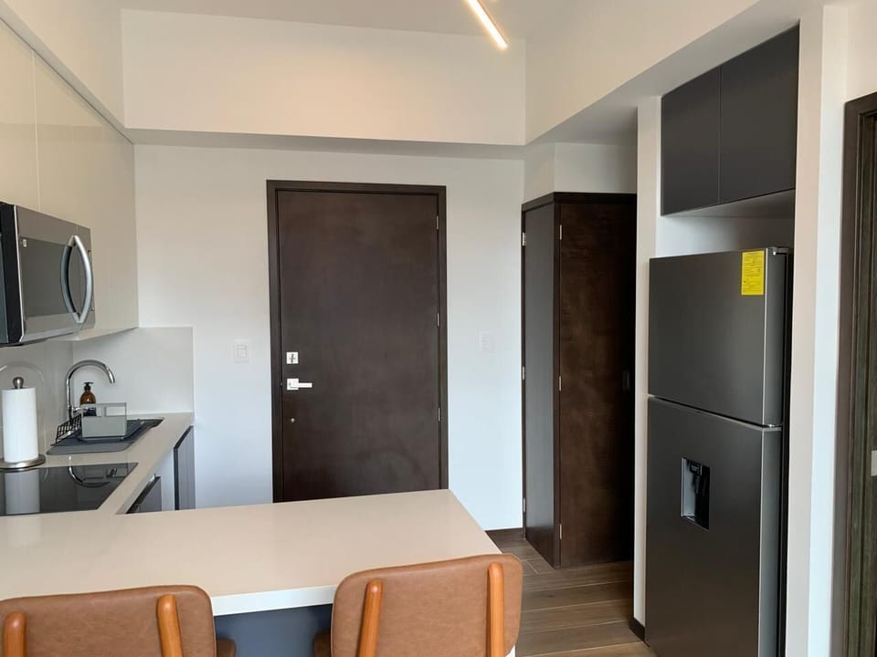 Deluxe Apartment, City View | Private kitchenette