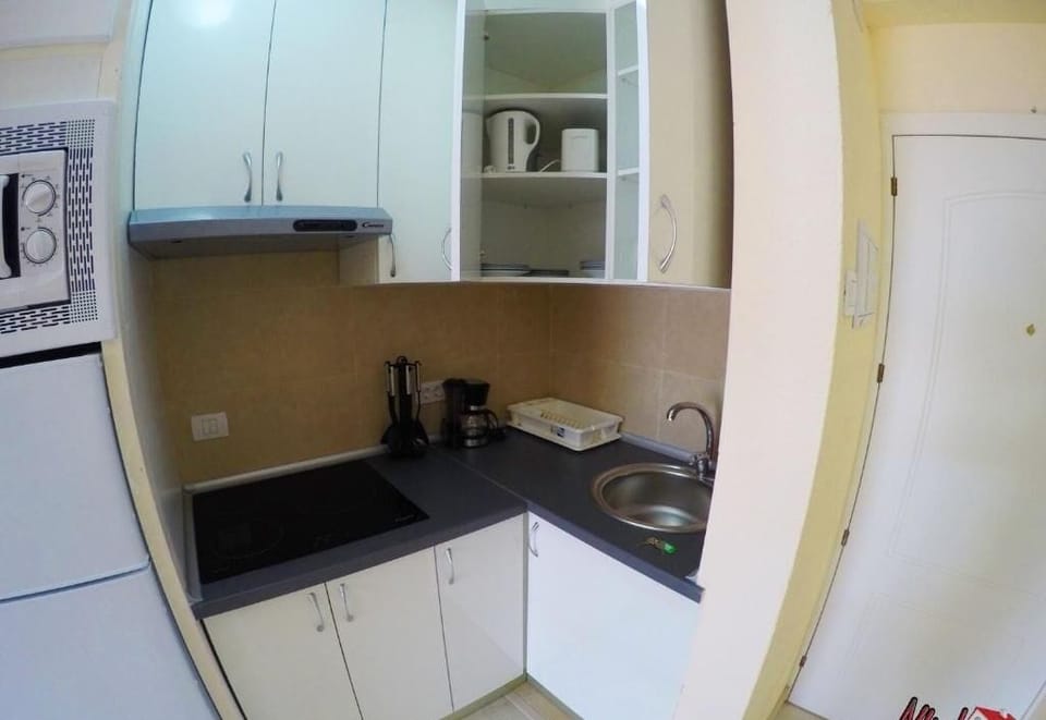 Studio, Balcony, Sea View | Private kitchen