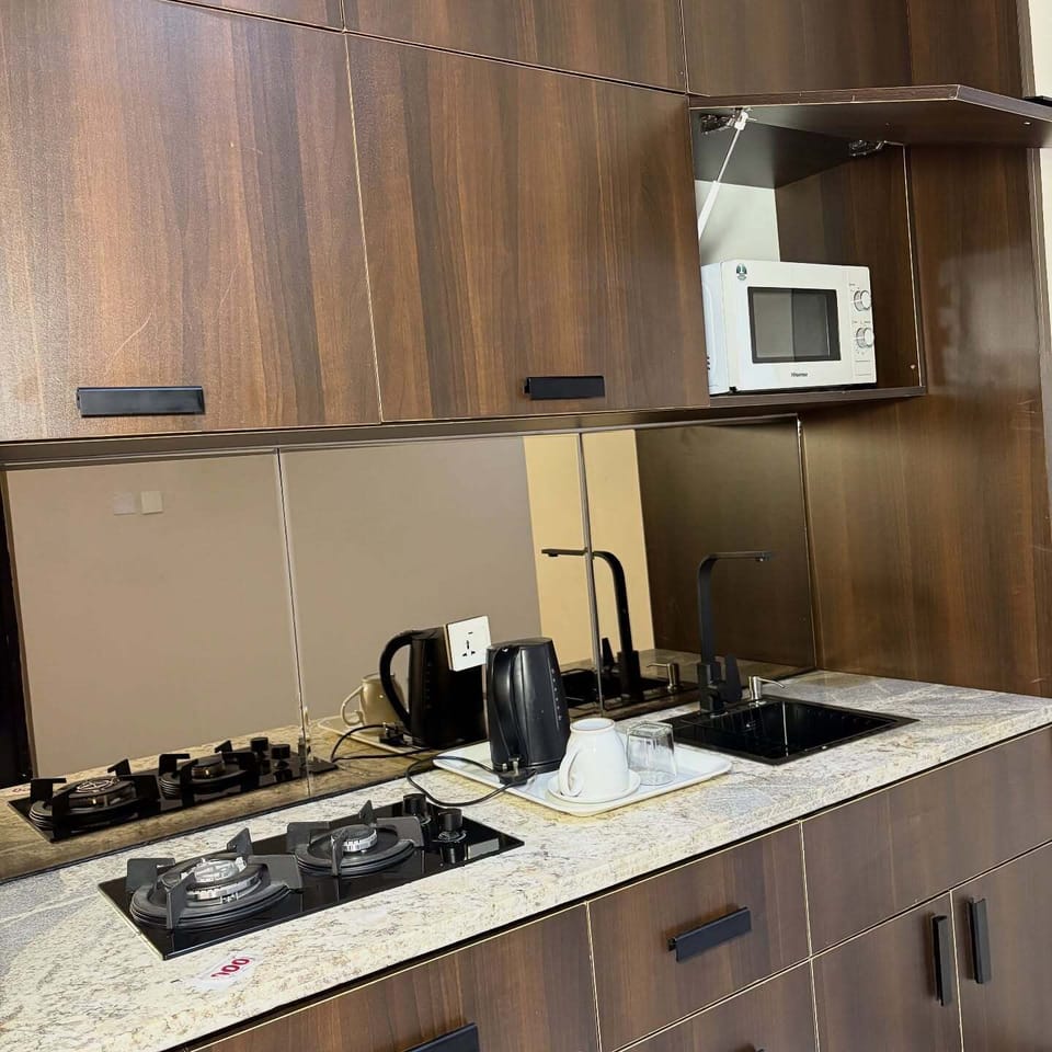 Superior Apartment, Balcony, City View | Private kitchen | Fridge, microwave, oven, stovetop