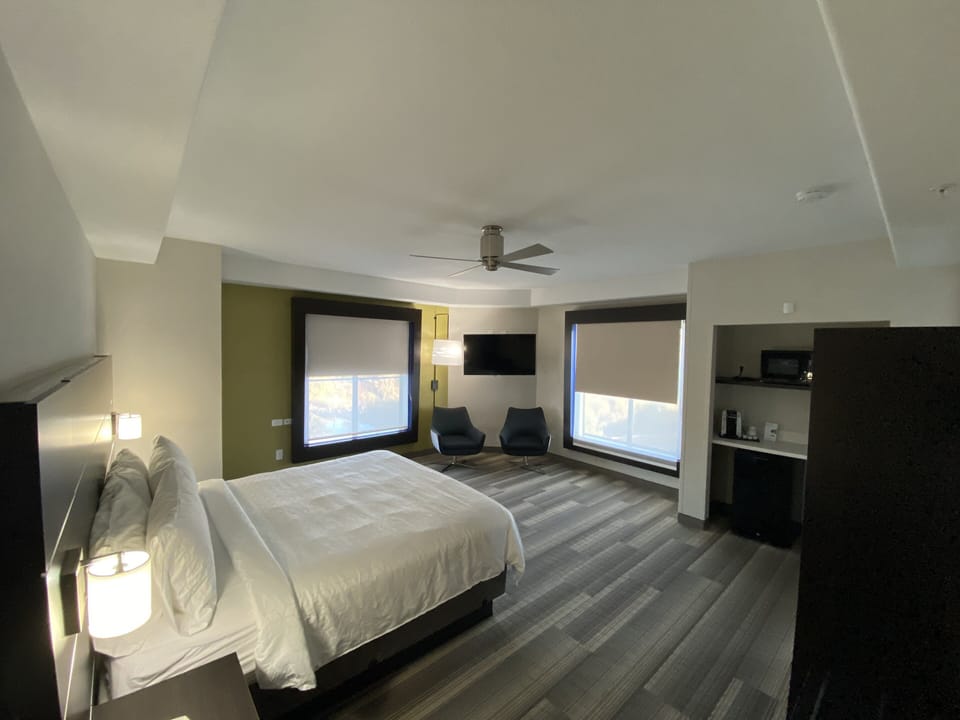 Suite, 1 King Bed with Sofa bed | In-room safe, desk, laptop workspace, blackout drapes