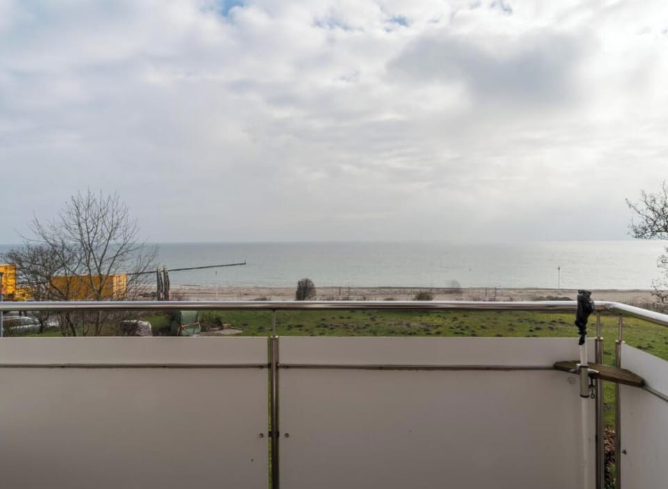 House | Property grounds