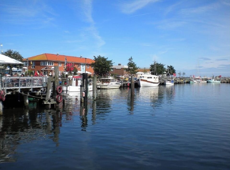 House | Marina