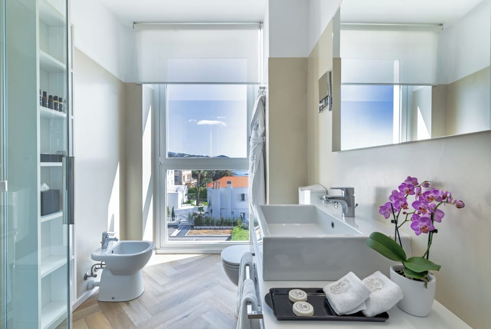 Premium Double Room | Bathroom | Rainfall showerhead, free toiletries, hair dryer, bathrobes