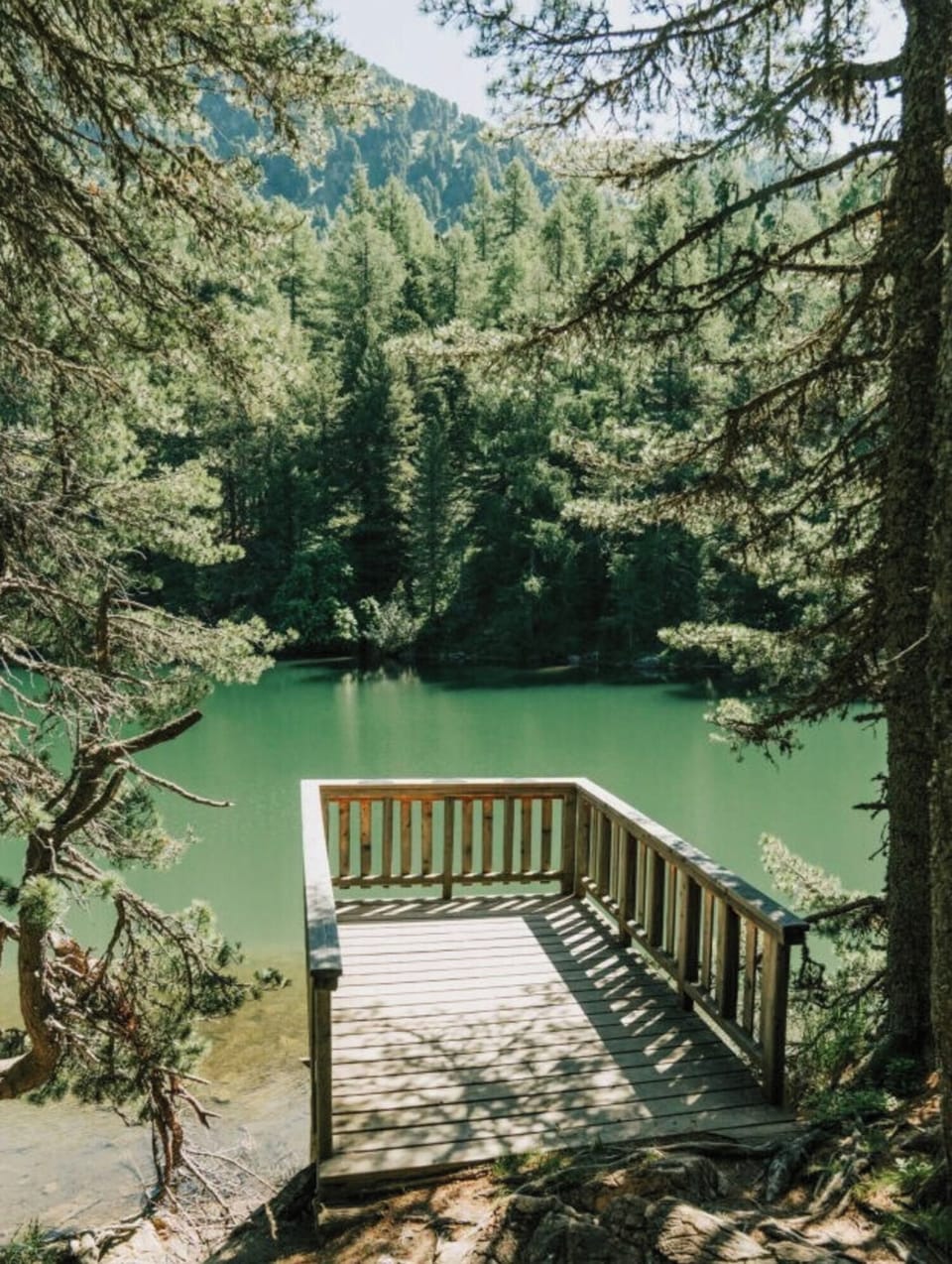 Chalet | Property grounds