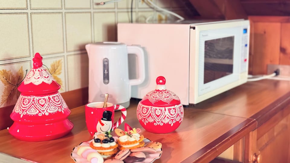 Apartment (1 Bedroom) | Private kitchen | Microwave, oven, stovetop, dishwasher