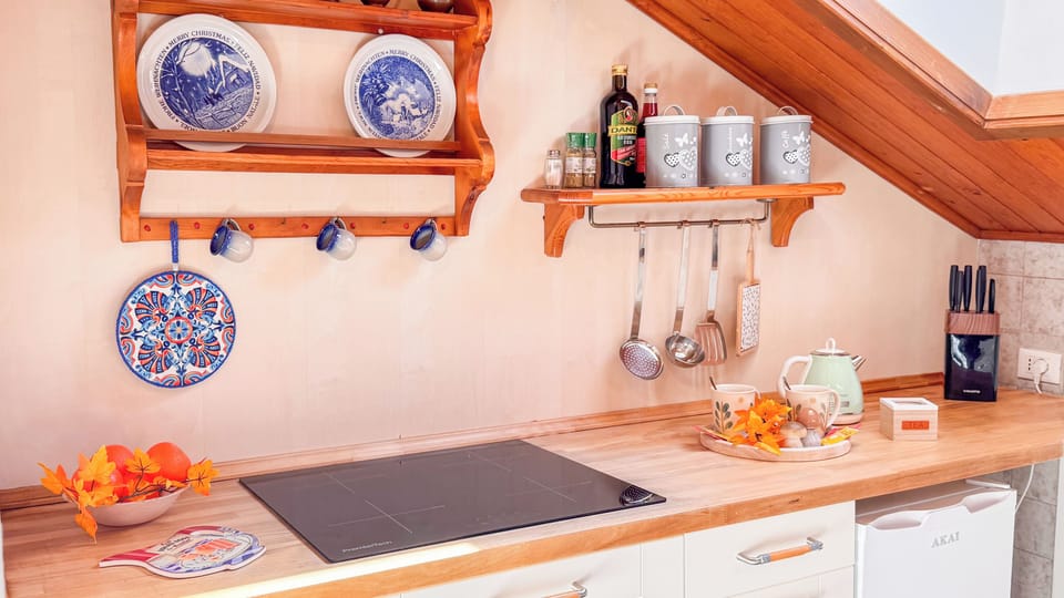Apartment (2 Bedrooms) | Private kitchen | Stovetop, dishwasher, highchair, cookware/dishes/utensils