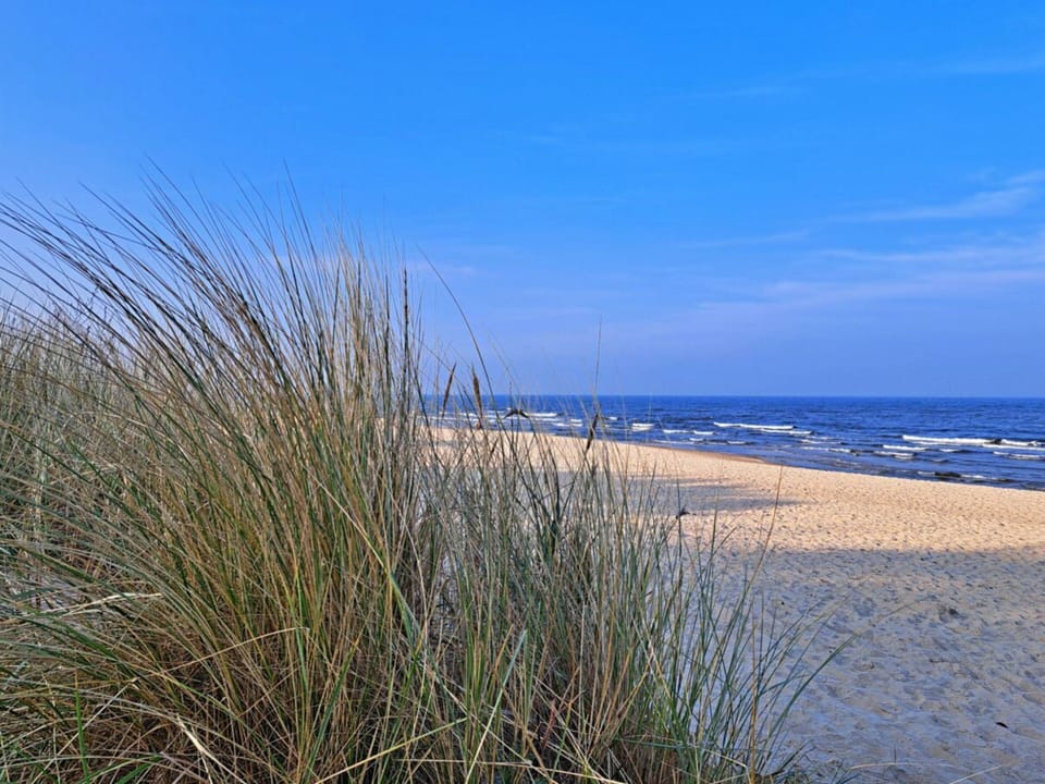 House | Beach