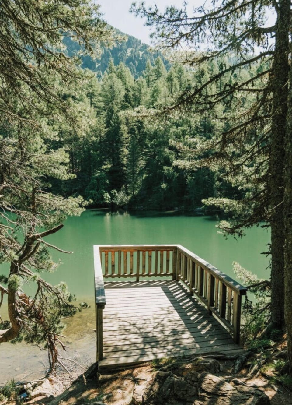 Chalet | Property grounds