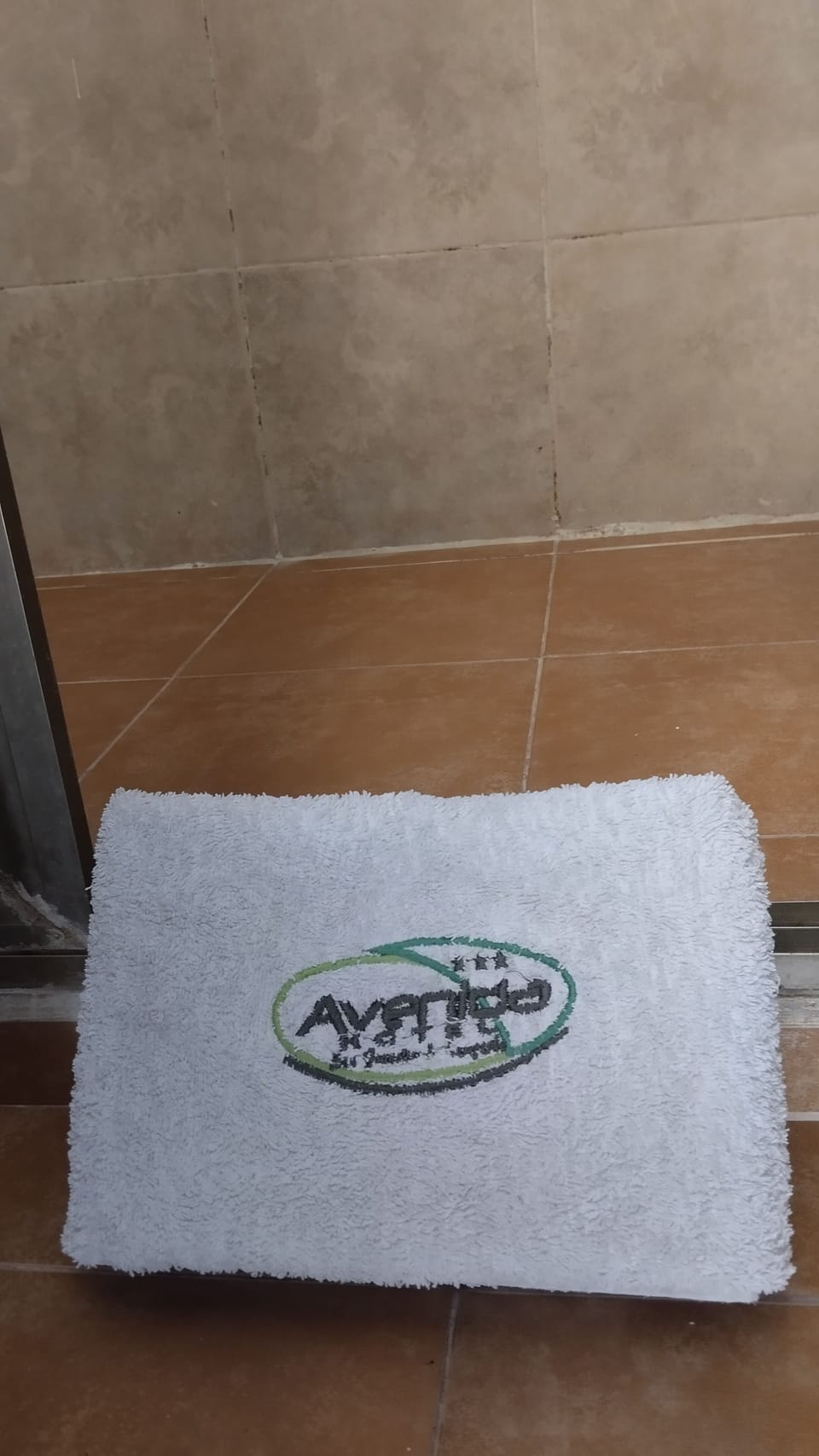 Basic Single Room, 1 Double Bed | Bathroom | Shower, towels, soap, shampoo