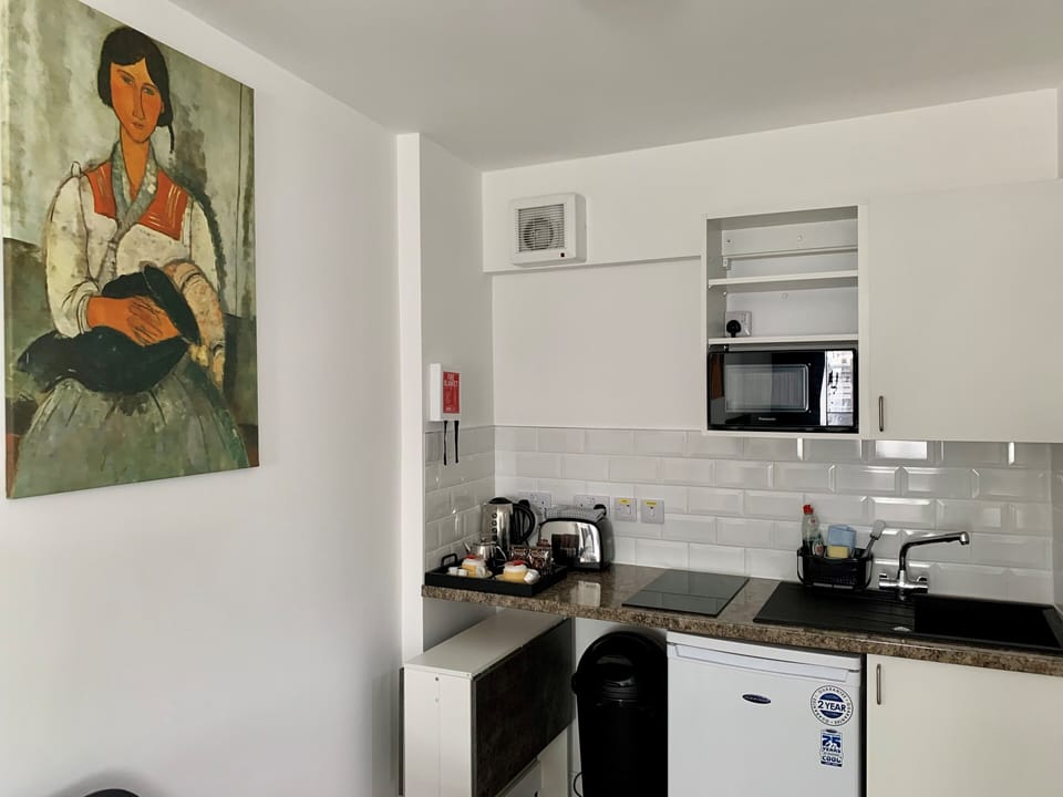 Twin Room | Private kitchenette | Coffee/tea maker, fridge, microwave, stovetop