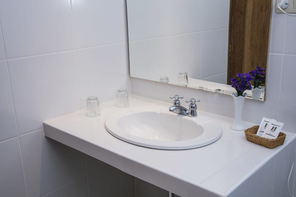 Combined shower/tub, hair dryer