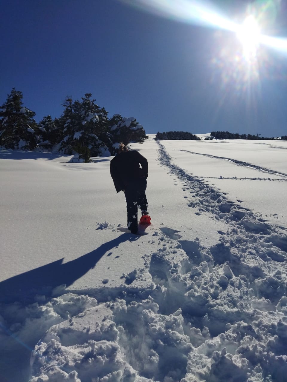 Sledding