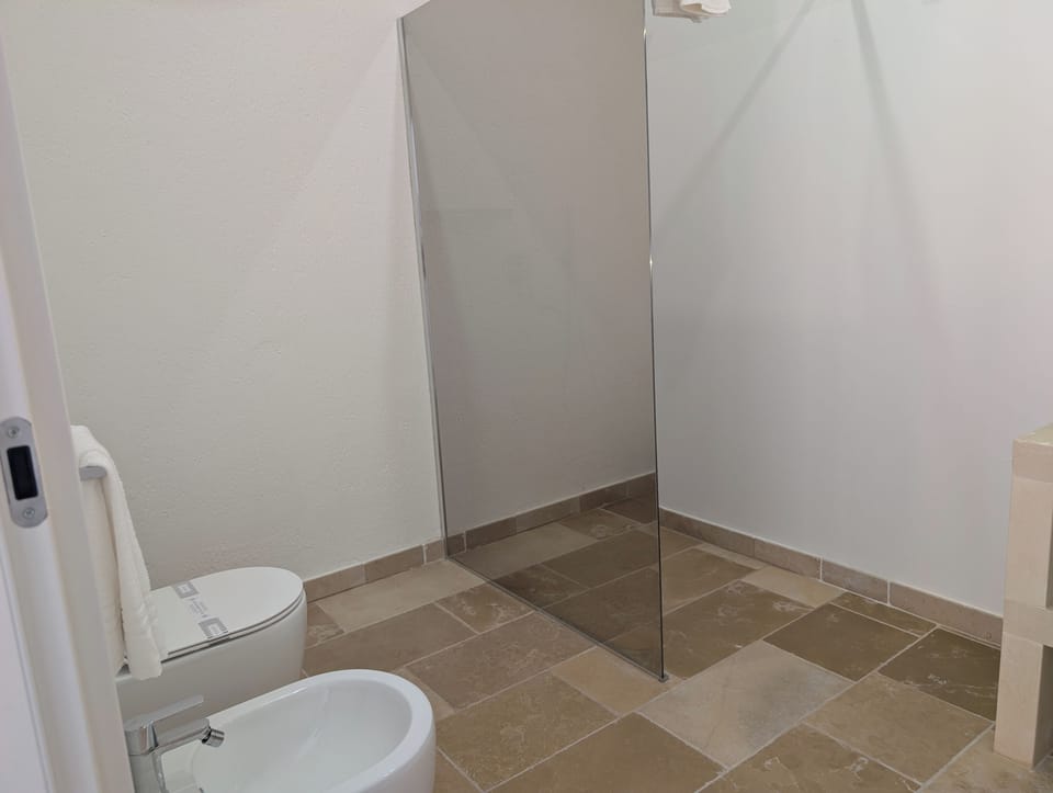 Luxury Double or Twin Room | Bathroom | Free toiletries, hair dryer, towels, soap