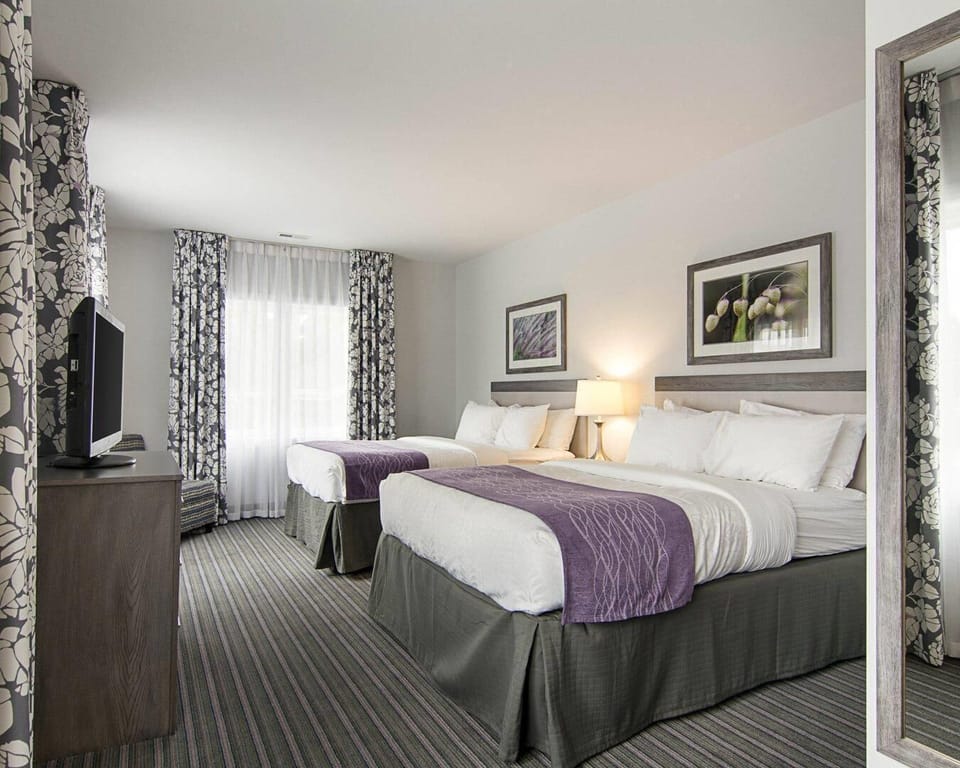 Suite, Multiple Beds, Non Smoking | Premium bedding, pillowtop beds, in-room safe, desk