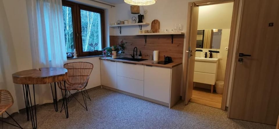 Apartment Upstairs | Private kitchen