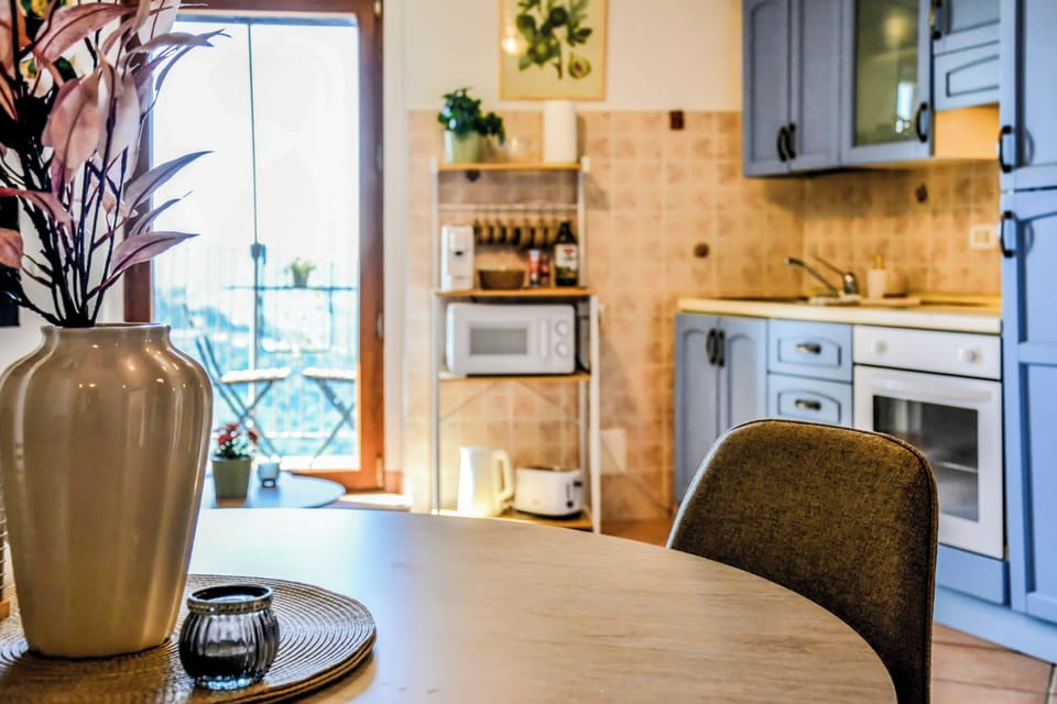 Apartment, Balcony, City View | Private kitchen