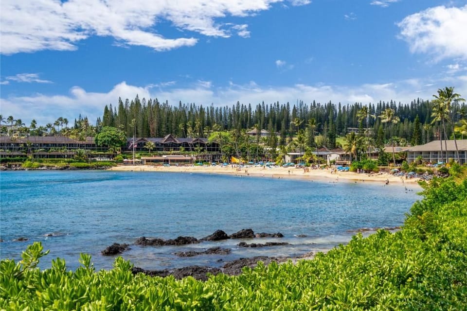 Napili Shores #d-128 1 Bedroom Condo Apartment in Kapalua