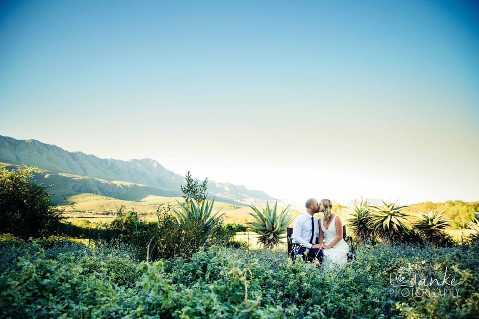 Outdoor wedding area