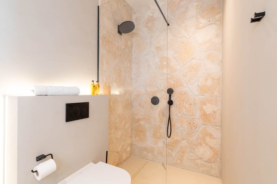 Solara - Luxury 3-bedroom Home With Private Pool Apartment in Sint Michiel