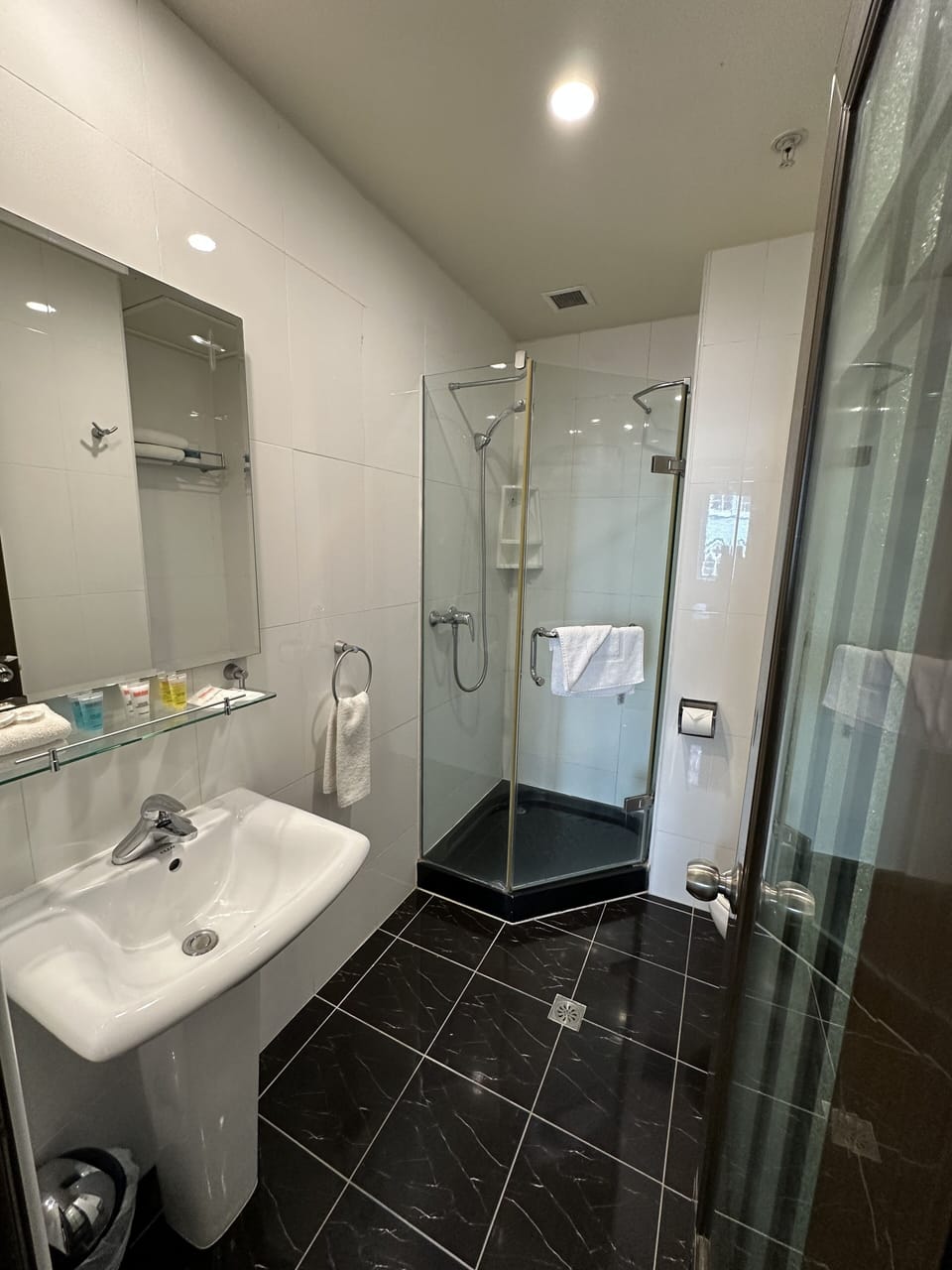 Queen Room | Bathroom | Shower, free toiletries, hair dryer, towels