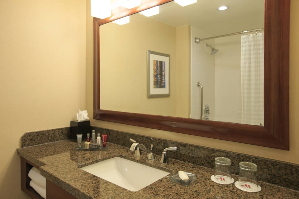 Combined shower/tub, free toiletries, hair dryer, towels